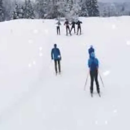 Lägenhet Apartma Bogi