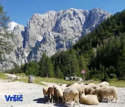 Apartma Bogi Apartamento